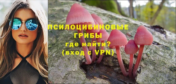 СК Балахна