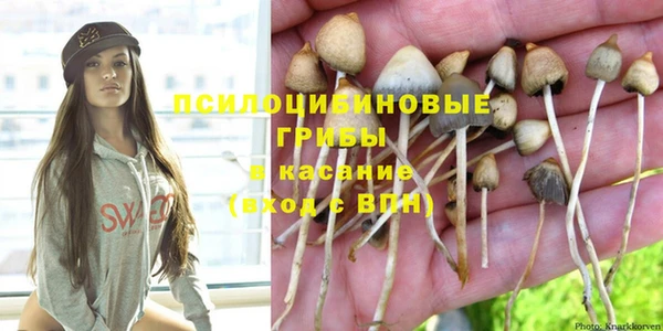 экстази Баксан