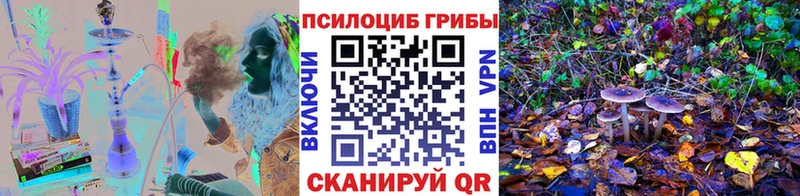 Псилоцибиновые грибы мухоморы  хочу наркоту  Комсомольск 